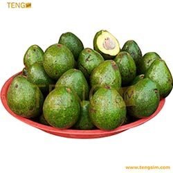 Avocats-achetez-en-ligne-au-Cameroun-sur-tengsim