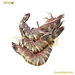 Gambas_tengsim237-vente-en-ligne-au-Cameroun