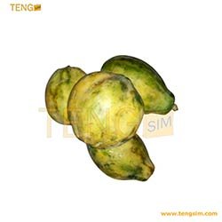 Papayes_tengsim237_acheter-en-ligne-au-cameroun