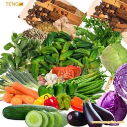 Plaquette-vivres-frais-tengsim-achetez-en-ligne-Cameroun