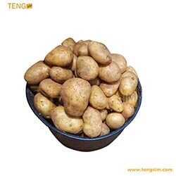 Pommes-de-terre-15L-5000-acheter-en-ligne-sur-tengsim