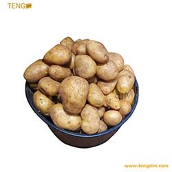 Pommes-de-terre-15L-5000-acheter-en-ligne-sur-tengsim