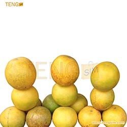 oranges-acheter-en-ligne-au-cameroun-sur-tengsim-500