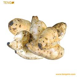 patates-le-tas-tengsim237-vente-en-ligne-cameroun