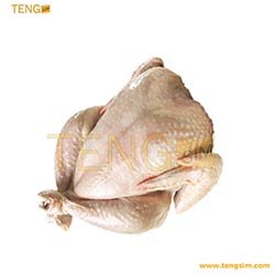 poulet_frais_nettoye_tengsim237_achats--en-ligne-au-cameroun