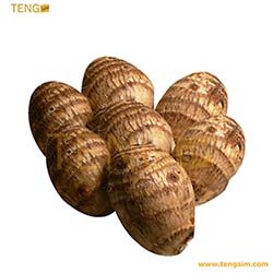 taro-acheter-en-ligne-sur-tengsim-au-cameroun