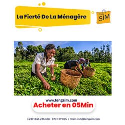 tengsim-achats-en-ligne-au-cameroun-237